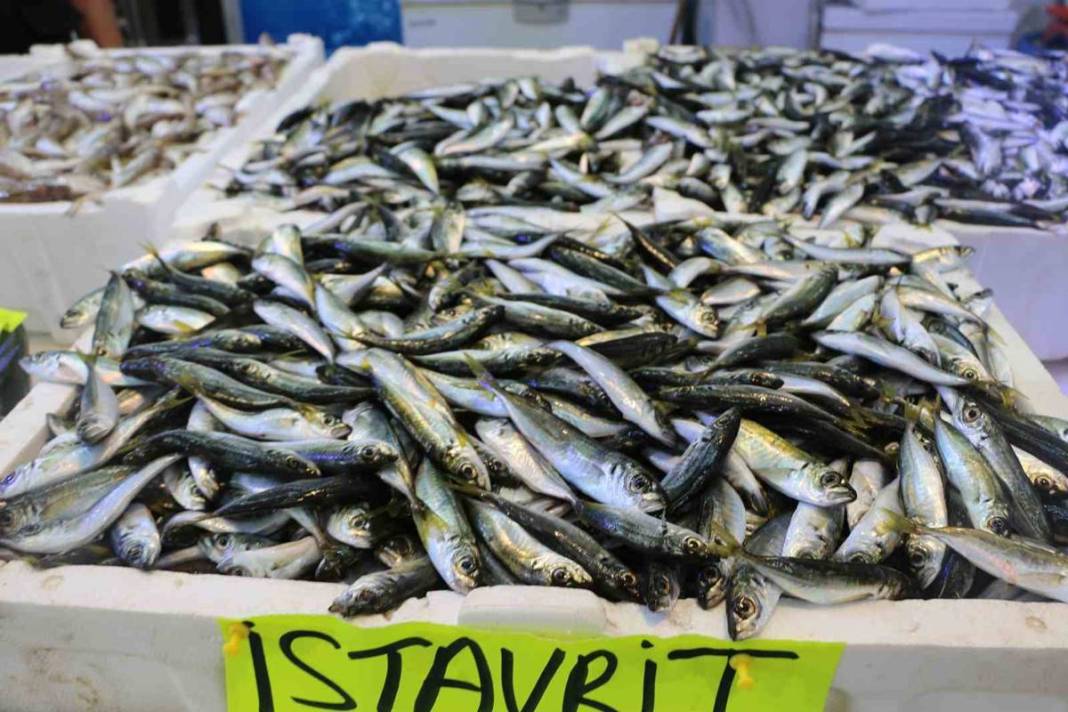 Tezgahların en ucuzu hamsi bile alev alev cep yakıyor! Bir günde yüzde 75 zamlandı, çarşıya giden vatandaş eli boş döndü 23